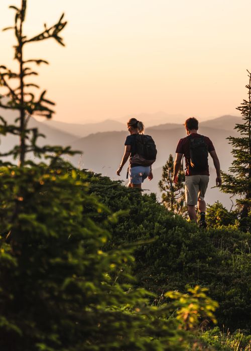 Wandern in Saalfelden Leogang