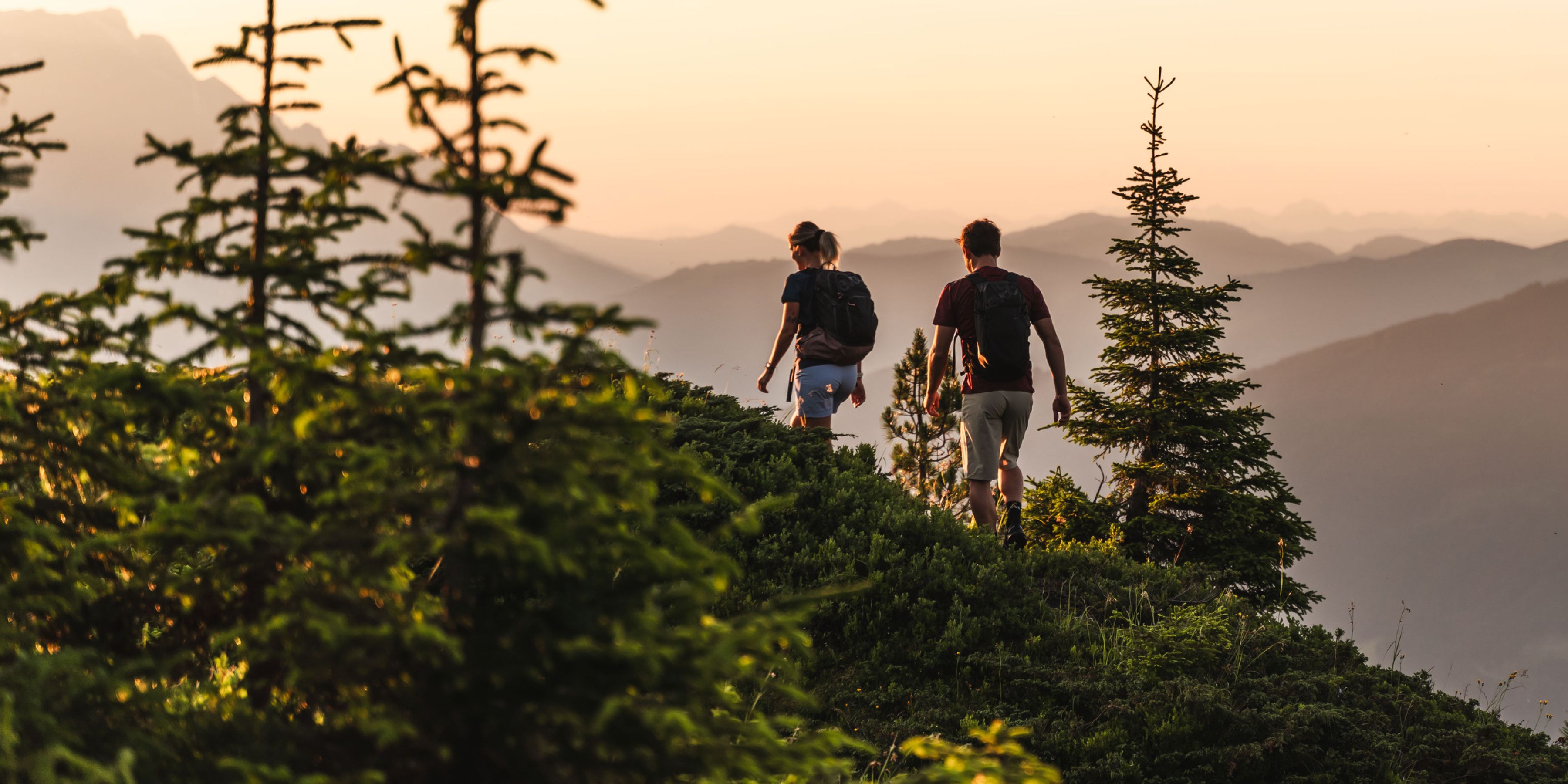Wandern michaelgeissler am Pöchtlhof in Leogang